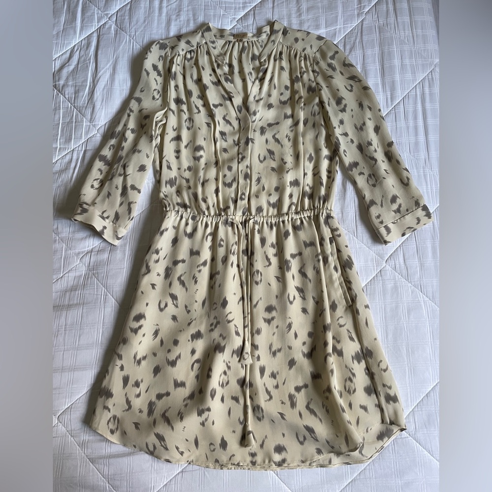 Babaton Silk Dress